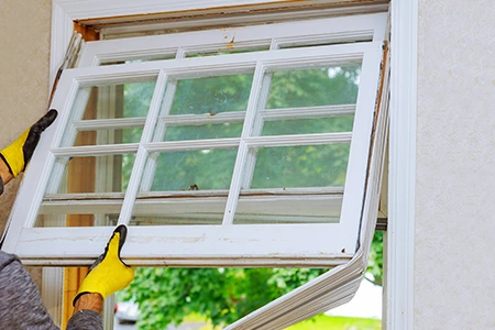 Window Replacement in Southwest Edmonton